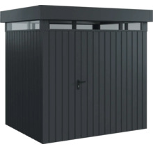 Armoire à outils avec porte, imposte et poignée