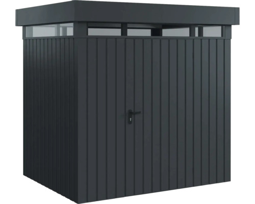 Armoire à outils avec porte, imposte et poignée