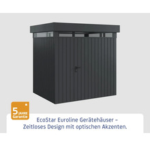 Abri de jardin EcoStar Euroline avec porte et lanterneau