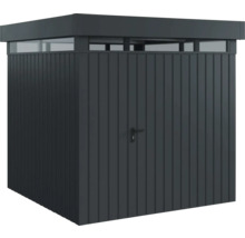 Abri de jardin avec porte et lanterneau