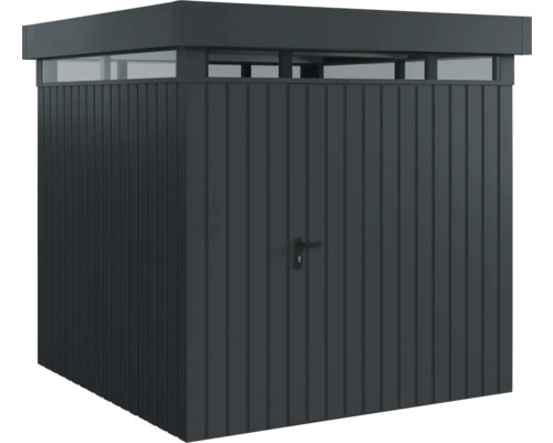 Abri de jardin avec porte et lanterneau