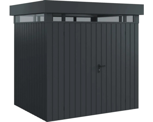 Abri de jardin métallique avec porte et lanterneau