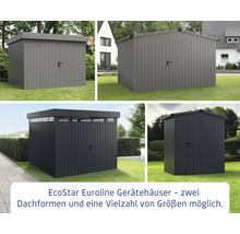 Abris de jardin EcoStar Euroline avec différentes formes de toit et tailles