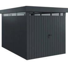 Abri de jardin en métal avec porte et lanterneau