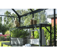 Vue détaillée d'une étagère de serre avec décoration et plantes
