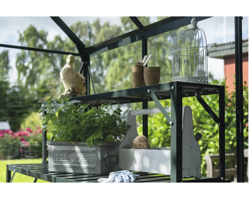 Vue détaillée d'une étagère de serre avec décoration et plantes
