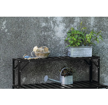 Scène de jardin avec étagère à plantes, arrosoir en zinc, plantes et accessoires de jardinage