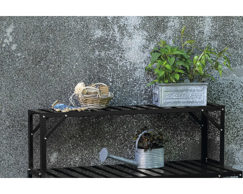 Scène de jardin avec étagère à plantes, arrosoir en zinc, plantes et accessoires de jardinage