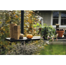 Scène décorative avec pots de fleurs, citrouille et plantes sur une étagère.