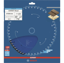 Bosch Expert Wood Kreissägeblatt, 250 Millimeter Durchmesser
