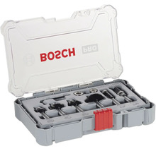 Coffret de 6 fraises Bosch dans une boîte de rangement grise avec couvercle transparent et fermeture rouge.