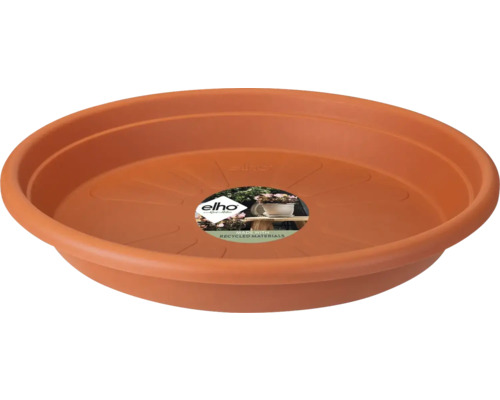 Pflanzenuntersetzer aus Kunststoff