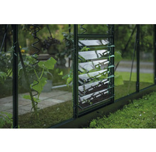 Vue détaillée d'une serre avec fenêtre à persiennes et support pour plantes