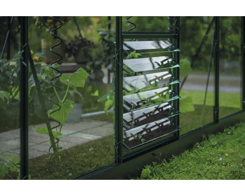 Vue détaillée d'une serre avec fenêtre à persiennes et support pour plantes