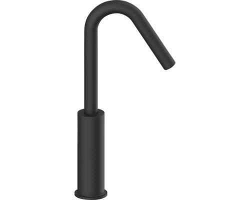 Schwarzer Wasserhahn mit gebogenem Auslauf
