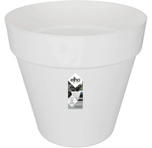 Pot de fleurs blanc en plastique