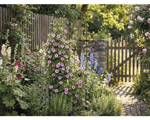Gartenszene mit Pflanzenstütze, Blumen und Gartenweg