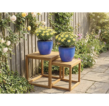 Deux pots de fleurs bleus avec des marguerites jaunes sur deux tables d'appoint en bois dans le jardin.