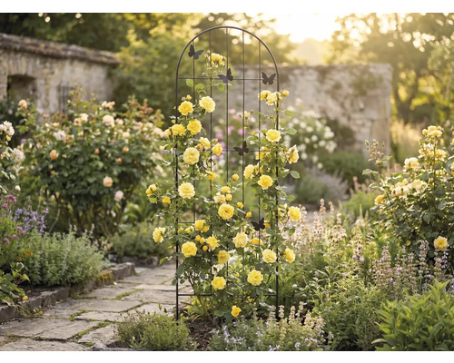 Gartenszene mit Rosenbogen, gelben Rosen und dekorativen Schmetterlingen