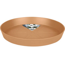 Soucoupe pour pots de fleurs