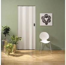 Intérieur avec porte pliante, chaise et plantes d'intérieur