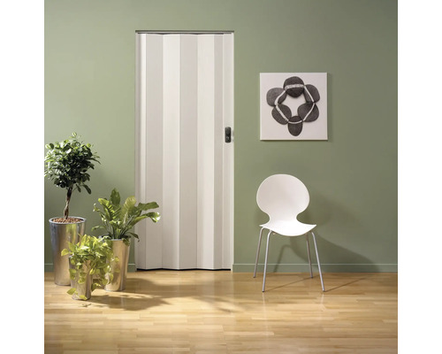 Intérieur avec porte pliante, chaise et plantes d'intérieur