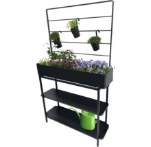 Schwarzes Pflanzregal mit Blumen und Kräutern sowie einer grünen Gießkanne