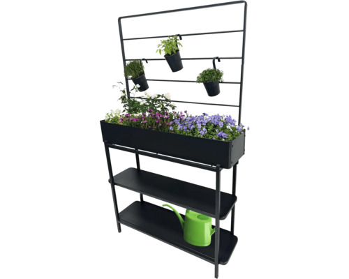 Schwarzes Pflanzregal mit Blumen und Kräutern sowie einer grünen Gießkanne
