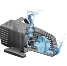 Coupe transversale d'une pompe de bassin en fonctionnement avec débit d'eau