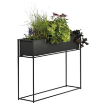 Jardinière surélevée avec différentes plantes