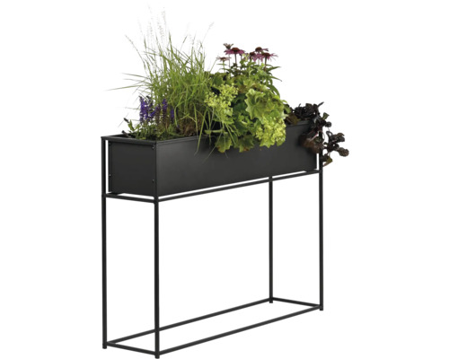 Jardinière surélevée avec différentes plantes