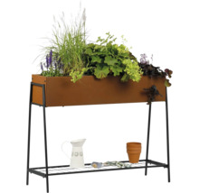 Jardinière surélevée avec plantes, arrosoir et accessoires de jardinage sur une étagère de rangement