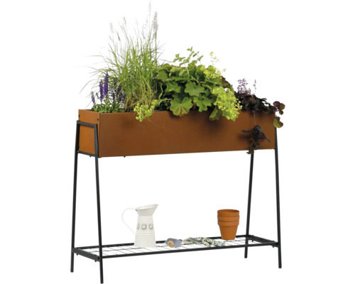 Jardinière surélevée avec plantes, arrosoir et accessoires de jardinage sur une étagère de rangement