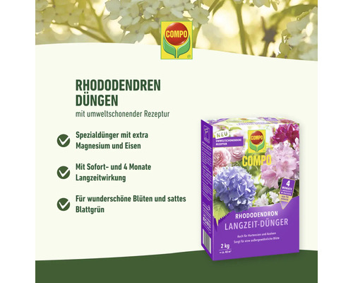Compo Rhododendron Dünger Packung für Langzeitdüngung