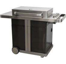 Chariot de grill avec capot en acier inoxydable et panneau de commande