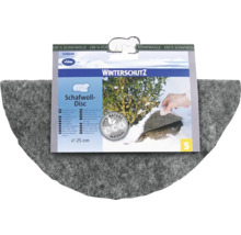 Videx Schafwoll-Disc für den Winterschutz von Pflanzen, 100 Prozent Schafwolle, Durchmesser 25 Zentimeter.