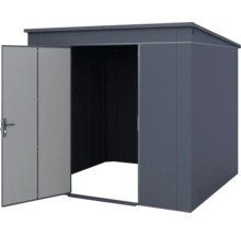 Abri de jardin en métal anthracite avec toit en pente et une porte ouverte.