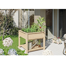 Hochbeet aus Holz mit Pflanzen im Garten