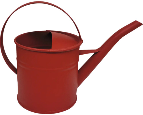 Arrosoir en métal avec poignée et bec