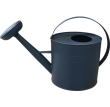 Arrosoir pour le jardin