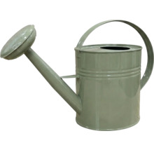 Arrosoir de jardin en métal