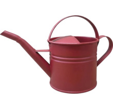 Arrosoir en métal avec poignée