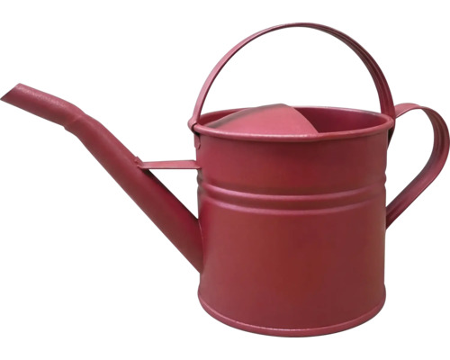 Arrosoir en métal avec poignée