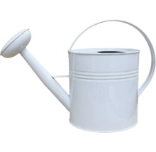 Giesskanne aus Metall mit Brause