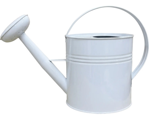 Giesskanne aus Metall mit Brause