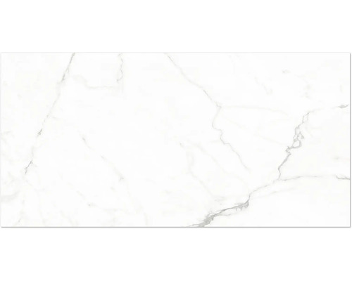 Carreau blanc aspect marbre avec veinures grises.