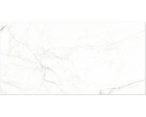 Carreau de mur ou de sol aspect marbre blanc avec veines grises.