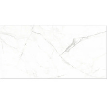 Carrelage en grès cérame blanc aspect marbre avec veines grises.