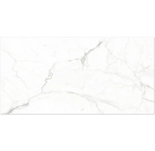 Carreau aspect marbre avec veinage gris.