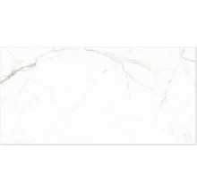 Carreau mural ou de sol aspect marbre avec veinage gris